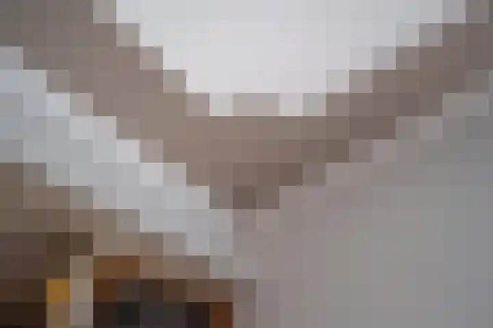 Griendweg 22 Dreumel thumbnail 34