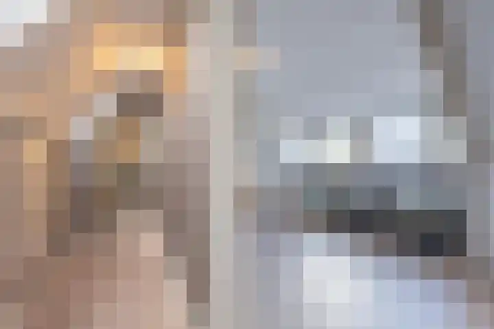 Griendweg 22 Dreumel thumbnail 45