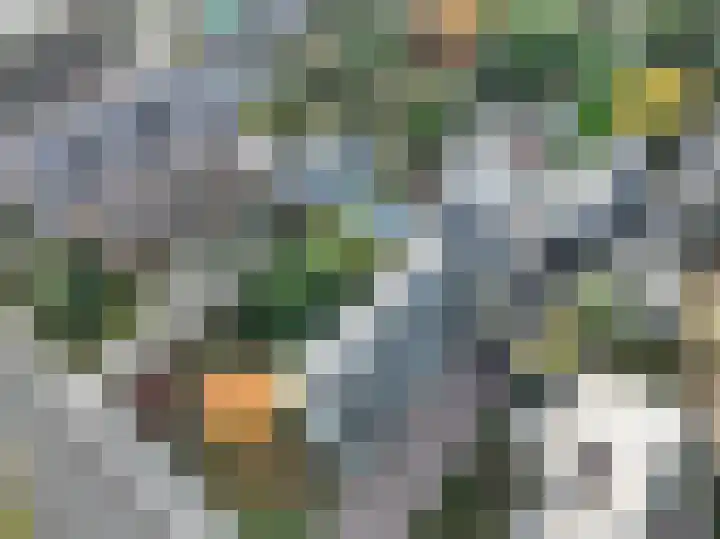 Griendweg 22 Dreumel thumbnail 56