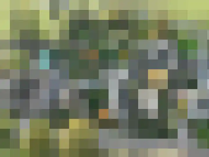 Griendweg 22 Dreumel thumbnail 57