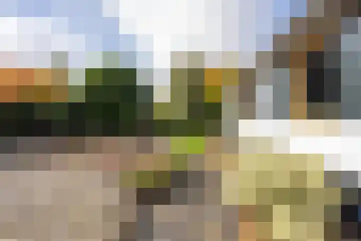 Griendweg 22 Dreumel thumbnail 59