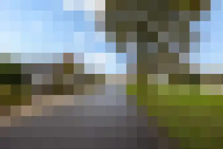 Griendweg 22 Dreumel thumbnail 6