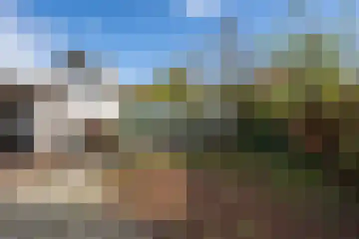 Griendweg 22 Dreumel thumbnail 62