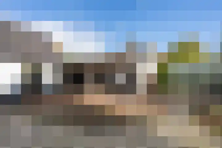 Griendweg 22 Dreumel thumbnail 65