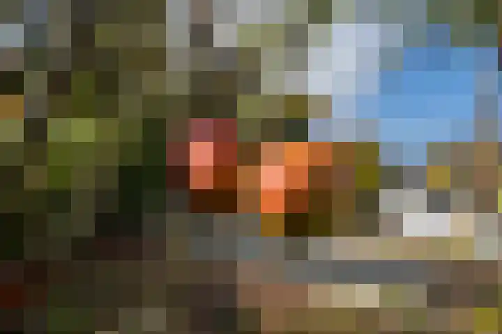 Griendweg 22 Dreumel thumbnail 68