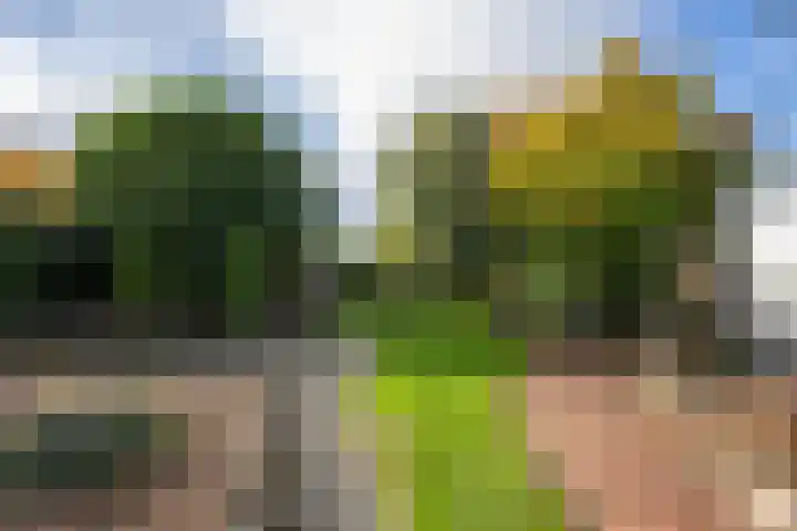Griendweg 22 Dreumel thumbnail 70