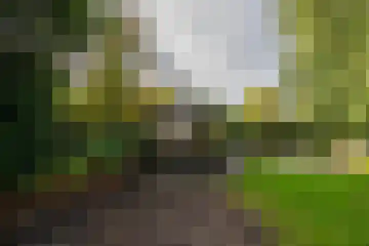 Griendweg 22 Dreumel thumbnail 72