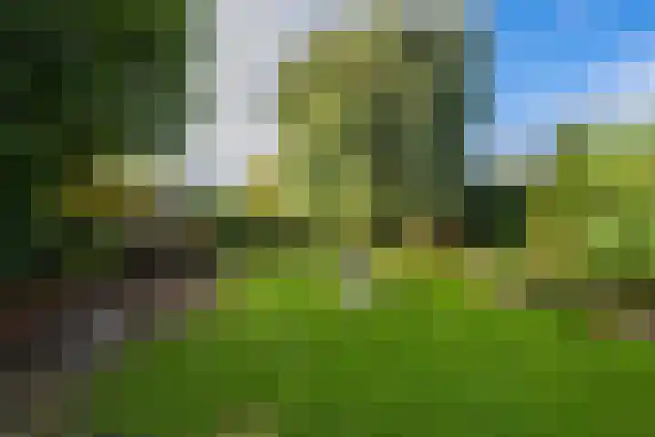 Griendweg 22 Dreumel thumbnail 73