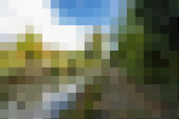 Griendweg 22 Dreumel thumbnail 75