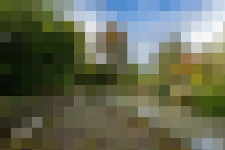 Griendweg 22 Dreumel thumbnail 76