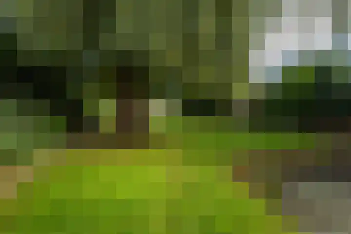 Griendweg 22 Dreumel thumbnail 77