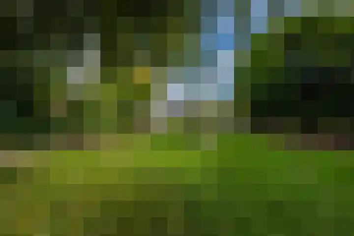 Griendweg 22 Dreumel thumbnail 79