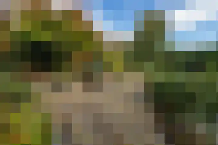 Griendweg 22 Dreumel thumbnail 80
