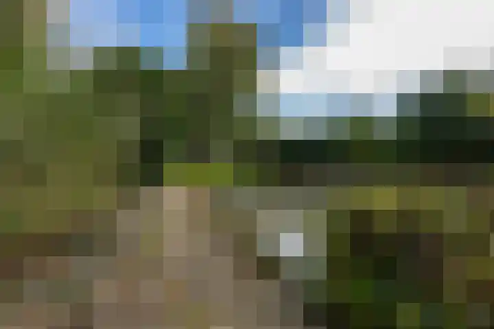 Griendweg 22 Dreumel thumbnail 81