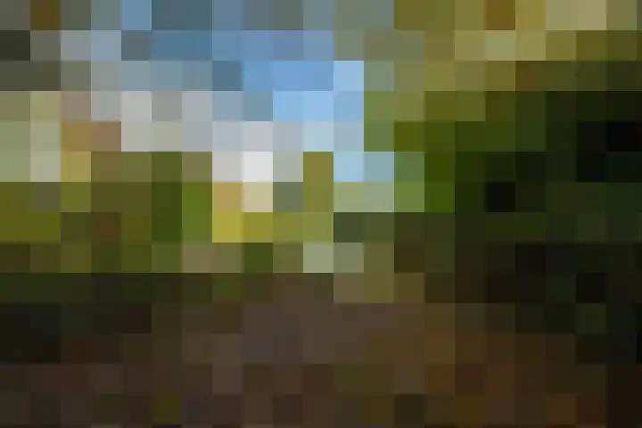 Griendweg 22 Dreumel thumbnail 82