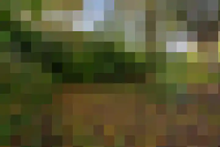 Griendweg 22 Dreumel thumbnail 83