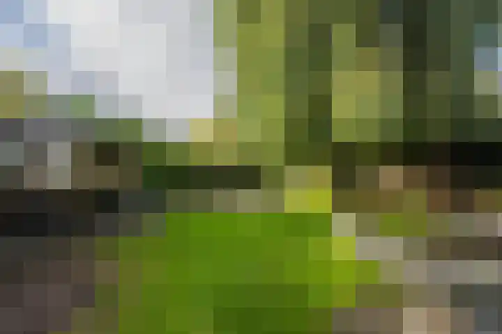 Griendweg 22 Dreumel thumbnail 84