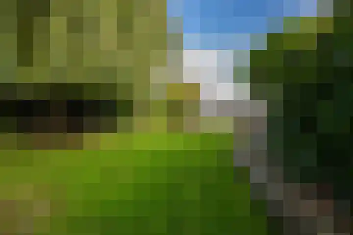 Griendweg 22 Dreumel thumbnail 85