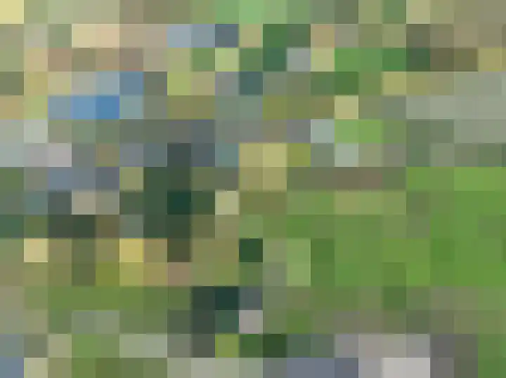 Griendweg 22 Dreumel thumbnail 87