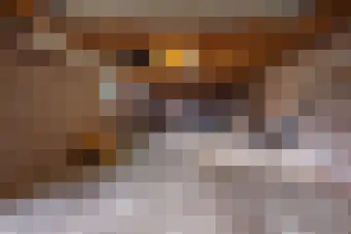 Griendweg 22 Dreumel thumbnail 91