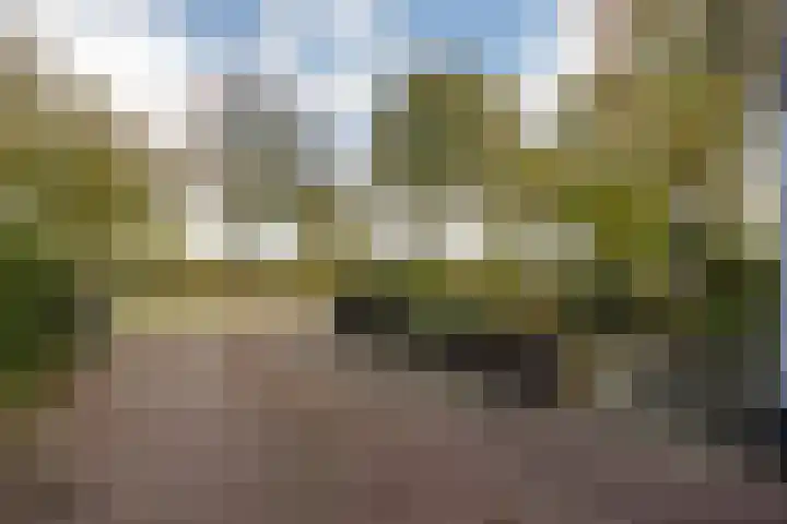 Griendweg 22 Dreumel thumbnail 93