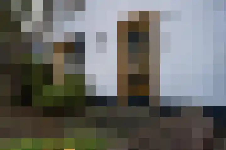 Griendweg 22 Dreumel thumbnail 95