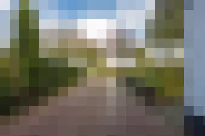 Griendweg 22 Dreumel thumbnail 97
