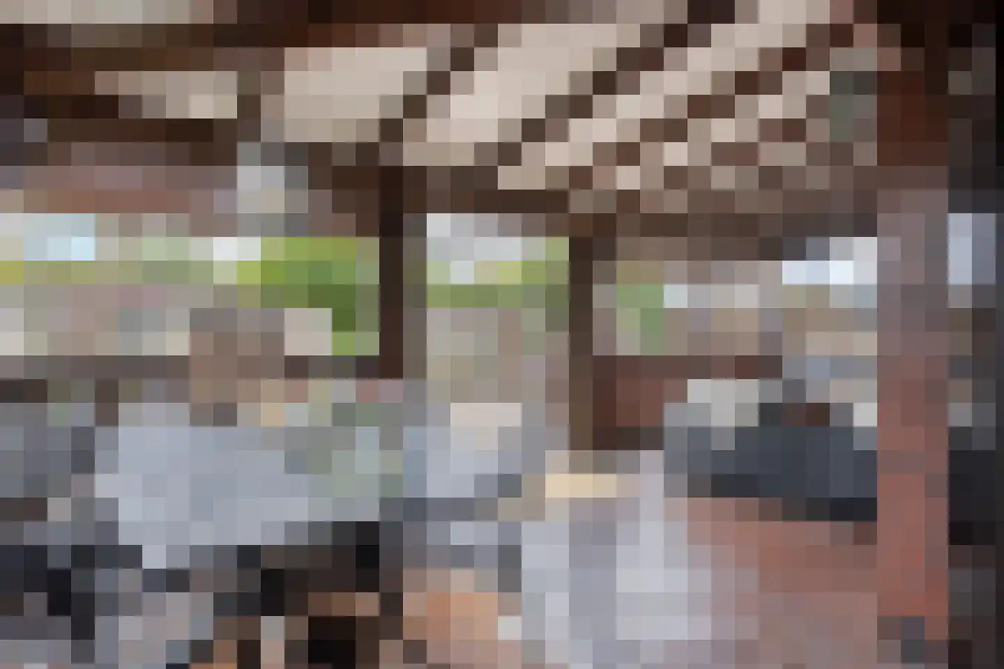 Griendweg 23 Geervliet thumbnail 25