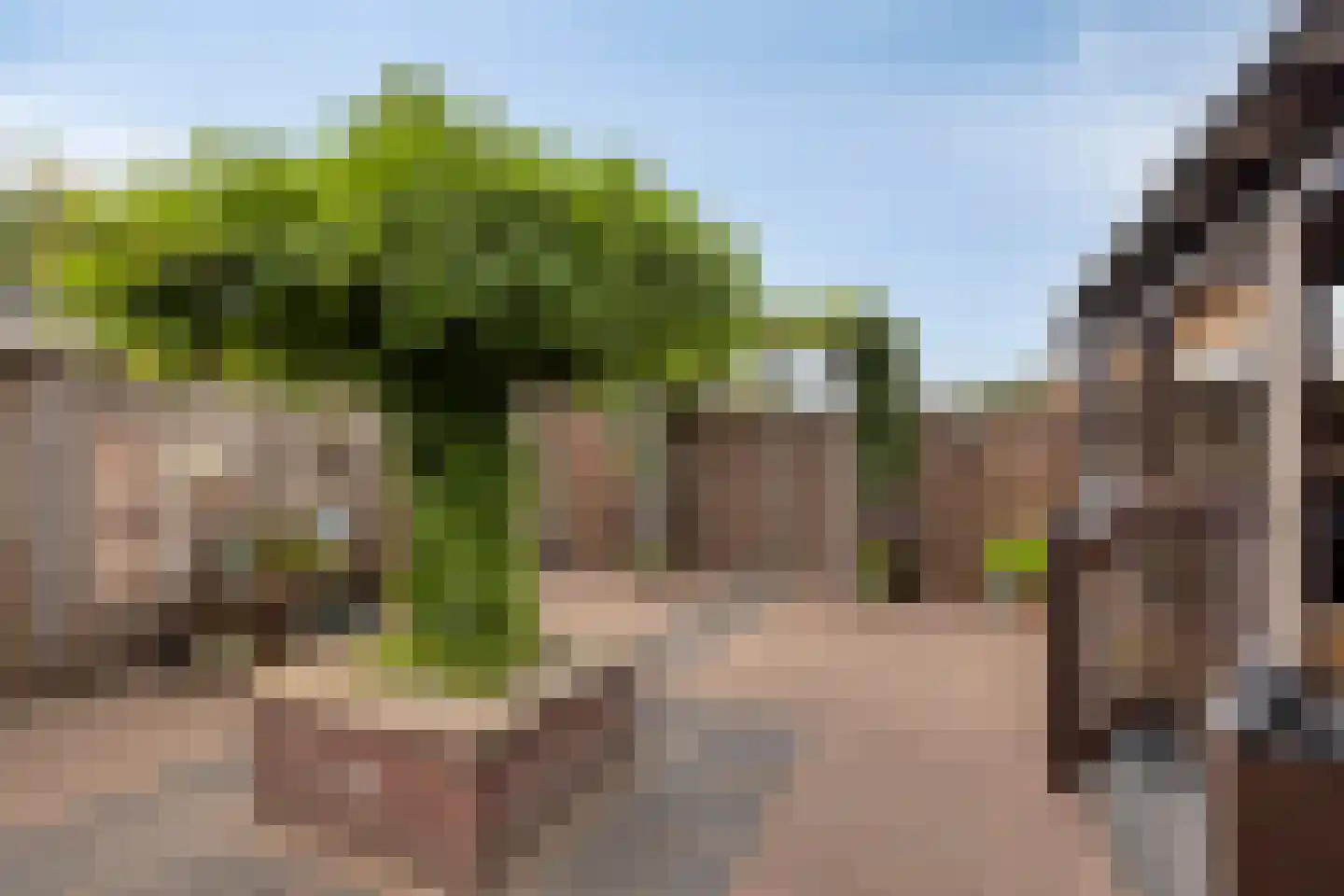 Griendweg 23 Geervliet thumbnail 27