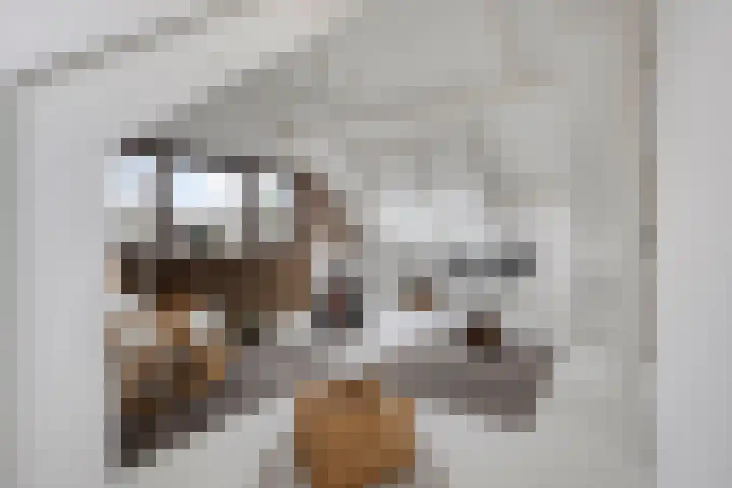 Griendweg 23 Geervliet thumbnail 44