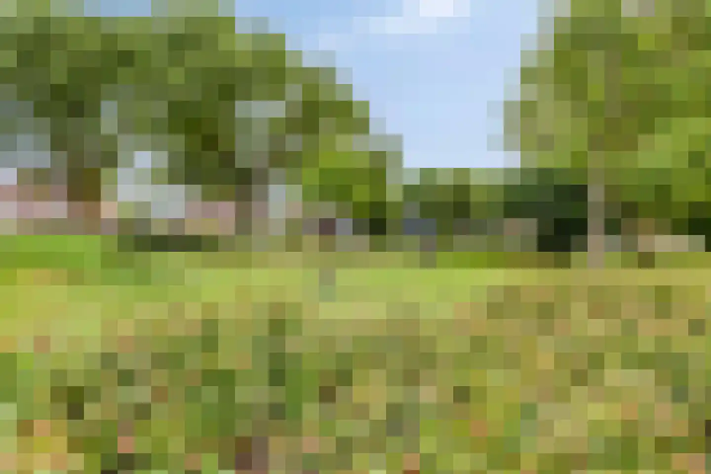Griendweg 23 Geervliet thumbnail 47