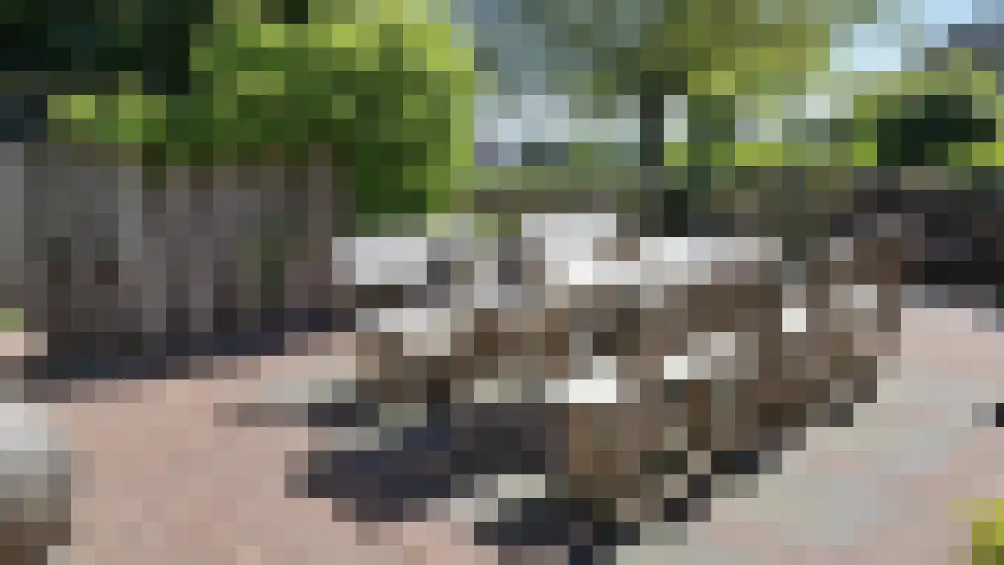 Griendweg 23 Geervliet thumbnail 6