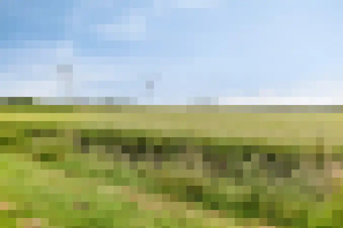 Griendweg 23 Geervliet thumbnail 8