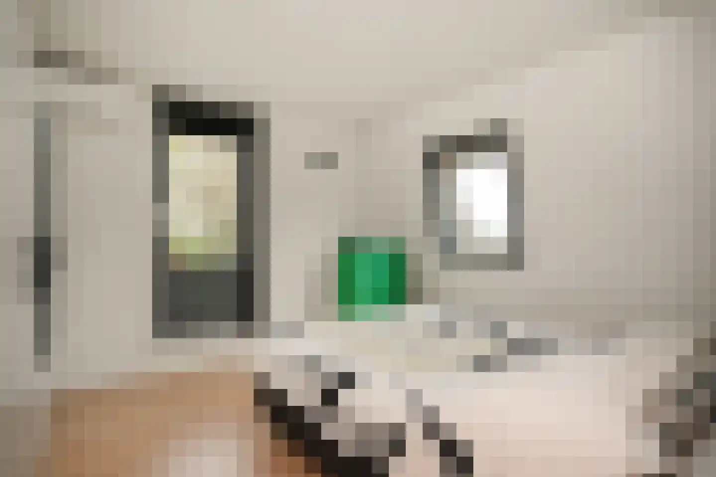 Griendweg 3 Dreumel thumbnail 19