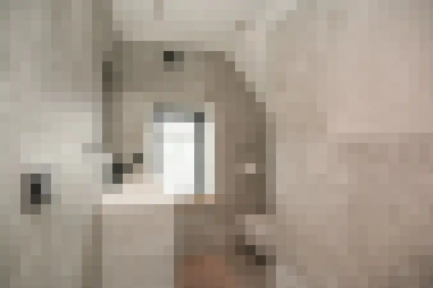 Griendweg 3 Dreumel thumbnail 21