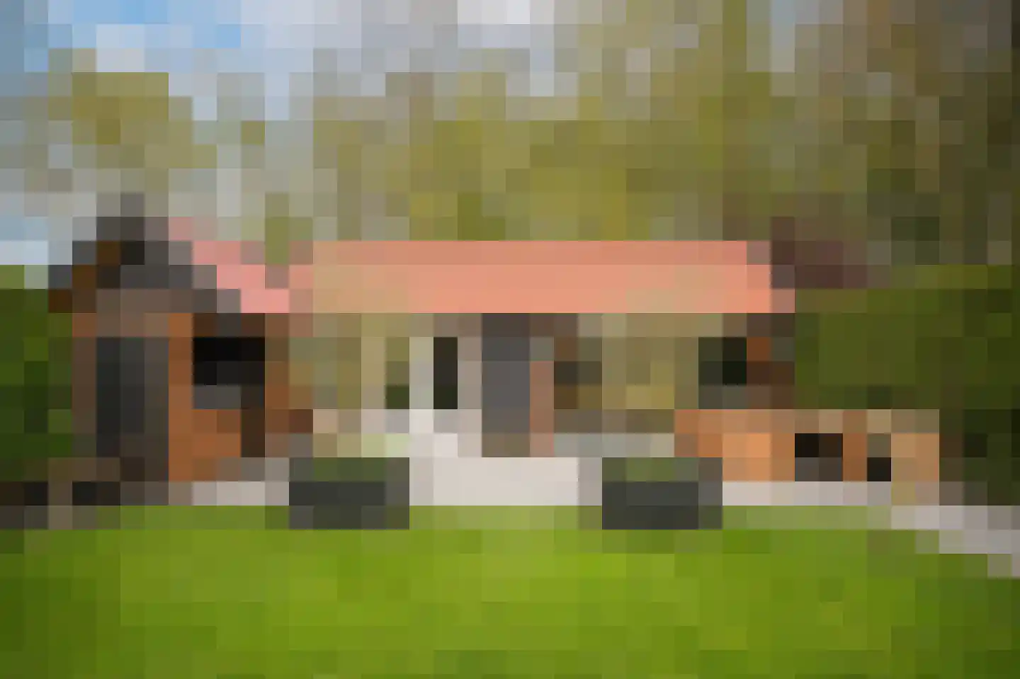 Griendweg 3 Dreumel thumbnail 29