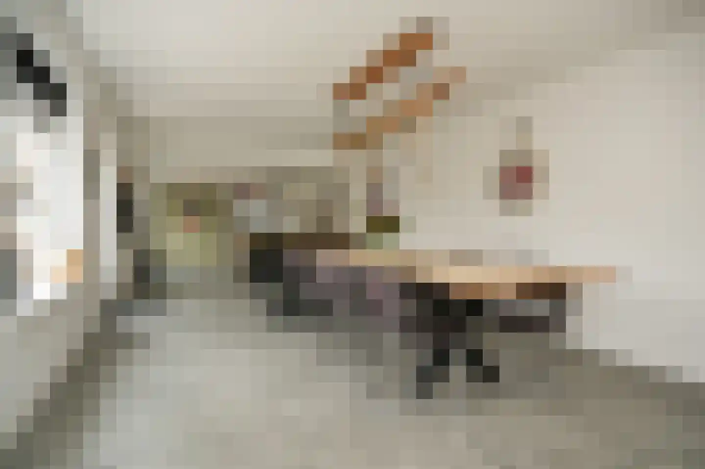 Griendweg 3 Dreumel thumbnail 5