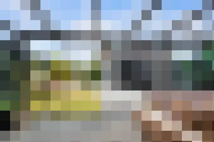 Griendweg 48 Nieuw-Beijerland thumbnail 33