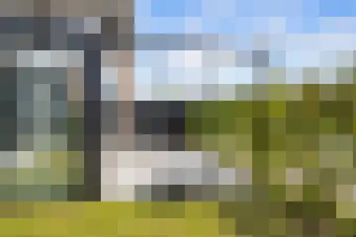 Griendweg 48 Nieuw-Beijerland thumbnail 34