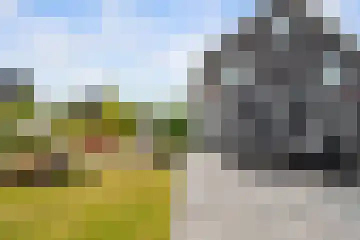Griendweg 48 Nieuw-Beijerland thumbnail 35