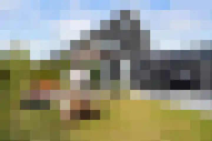 Griendweg 48 Nieuw-Beijerland thumbnail 36