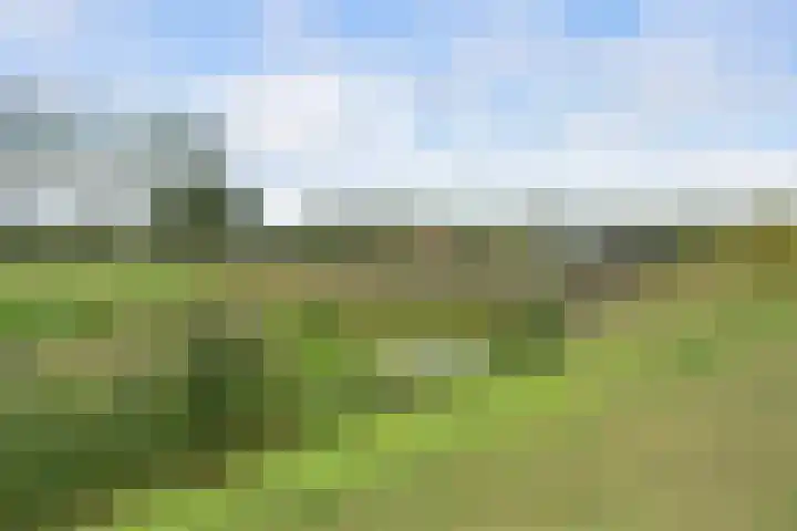 Griendweg 48 Nieuw-Beijerland thumbnail 37