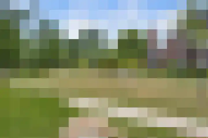 Griendweg 48 Nieuw-Beijerland thumbnail 38