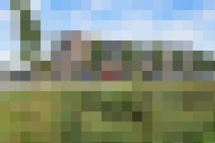 Griendweg 48 Nieuw-Beijerland thumbnail 7
