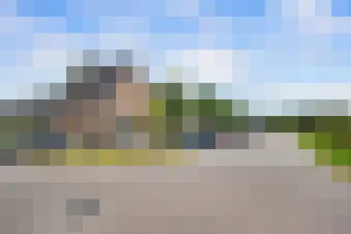Griendweg 48 Nieuw-Beijerland thumbnail 8