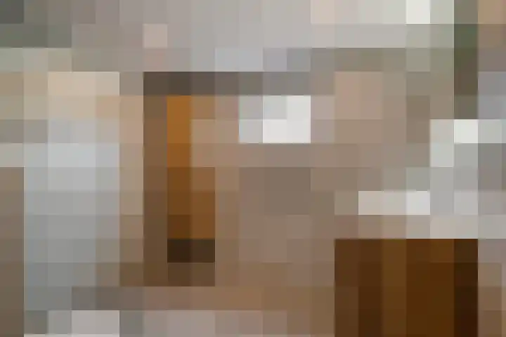Griendwerker 11 Poortugaal thumbnail 17