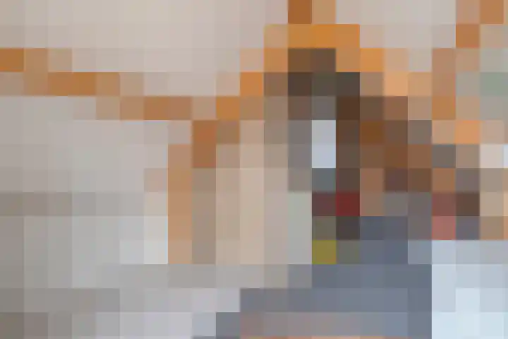 Griendwerker 11 Poortugaal thumbnail 26