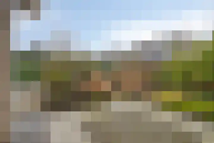 Griendwerker 11 Poortugaal thumbnail 32