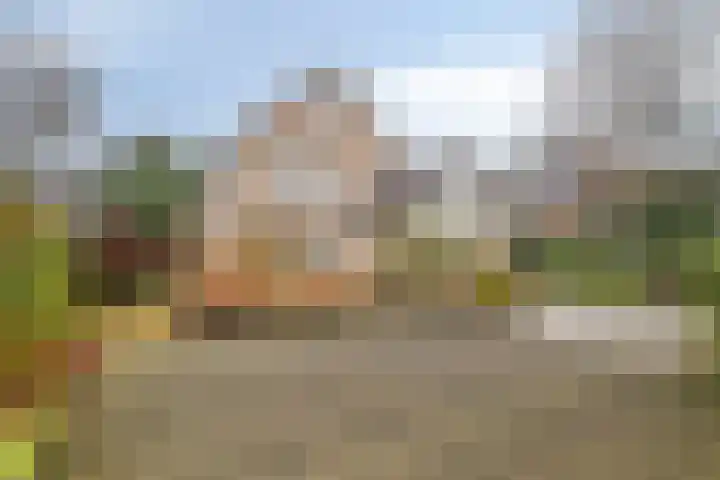 Griendwerker 11 Poortugaal thumbnail 33