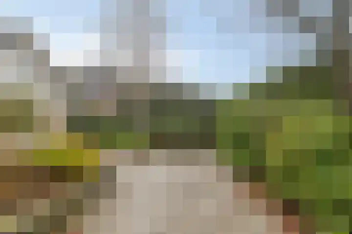 Griendwerker 11 Poortugaal thumbnail 34